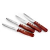 Tramontina Porterhouse 4 Pc Steak Knife Set - Rounded -TRAMONTINA Sales 80000004PNM001G