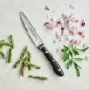 Tramontina 4 In Chef''s Paring Knife -TRAMONTINA Sales 80008000PRM001G