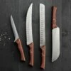 Tramontina Churrasco BBQ 4 Pc Grilling Knife Set -TRAMONTINA Sales 80905025PDM001G