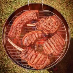 Tramontina 15.5 In Stainless Steel Round BBQ Charcoal Grill With Lid -TRAMONTINA Sales 80905033IXM010G
